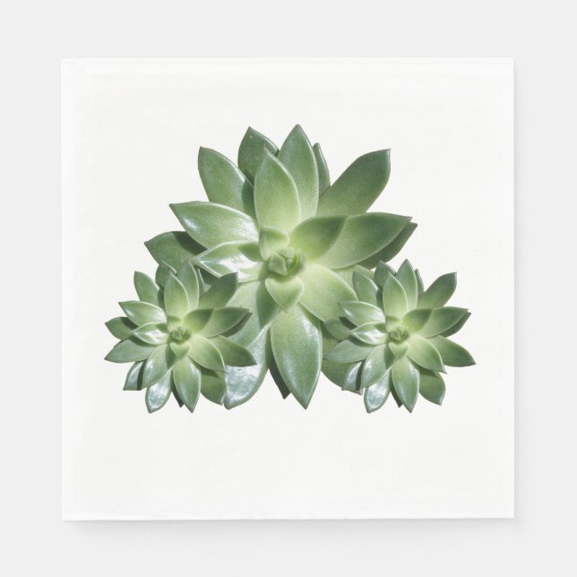 Serviette En Papier Papier simple Succulent (Devant)