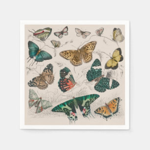 Serviette En Papier Papillons Collection Antique Papillons