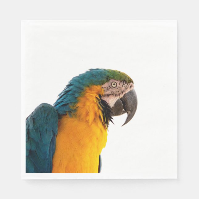 Serviette En Papier Parrot Notes (Devant)
