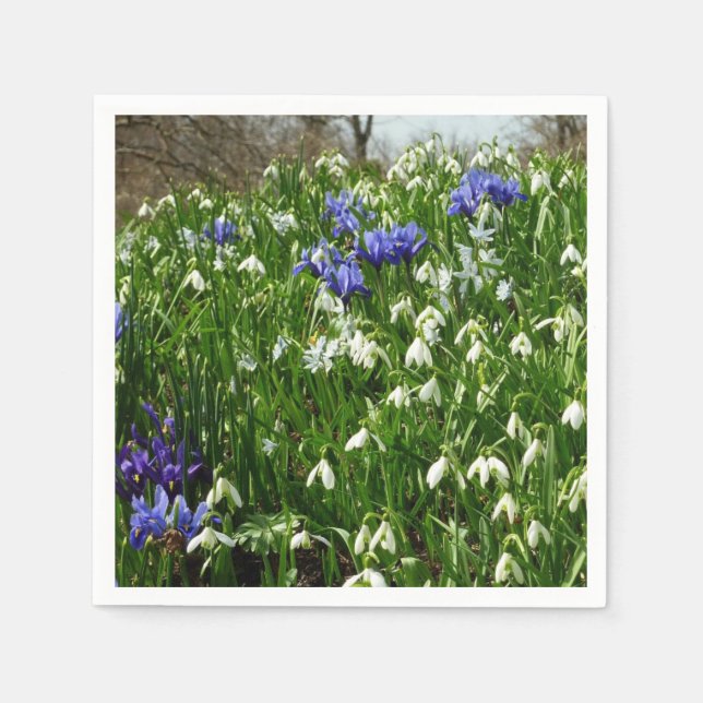 Serviette En Papier Paysage des fleurs du début du printemps (Devant)