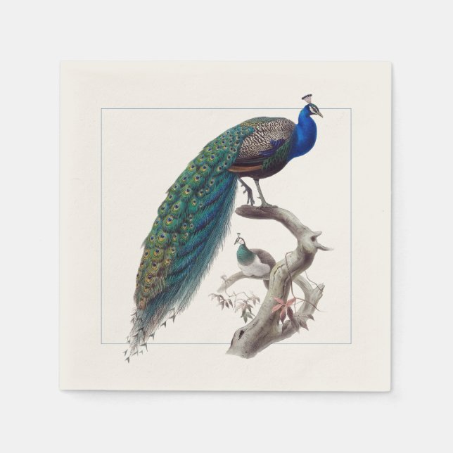 Serviette En Papier Peacock Elegant Natural History Papier Napkins (Devant)