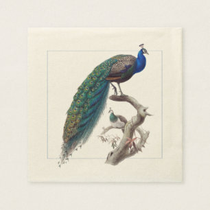 Serviette En Papier Peacock Elegant Natural History Papier Napkins