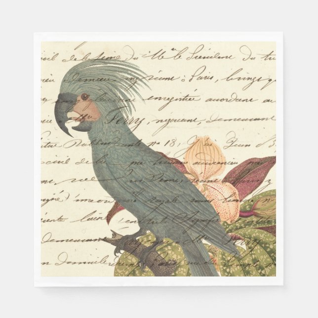 Serviette En Papier Perroquet tropical vintage (Devant)