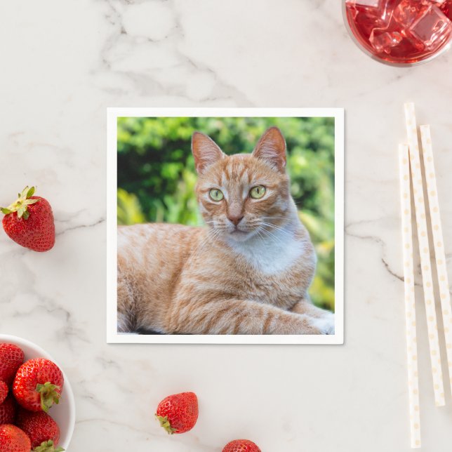 Serviette En Papier Petit chou doux (En situation)