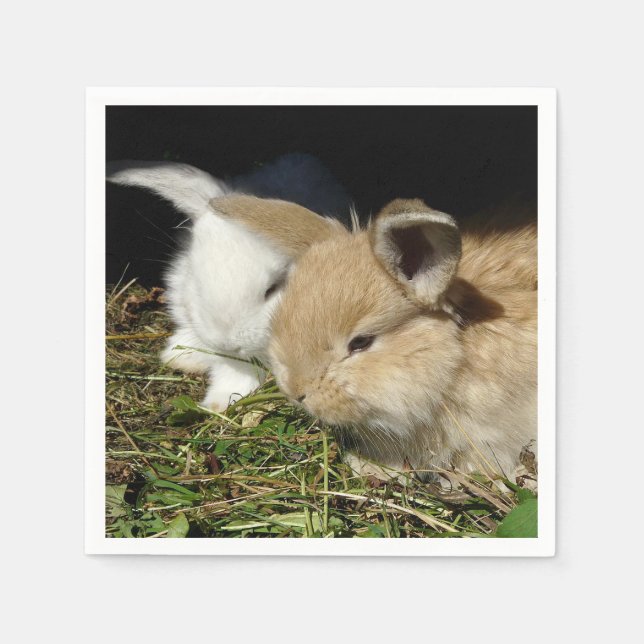 Serviette En Papier Petit lapin moelleux (Devant)