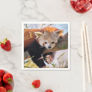 Serviette En Papier Petit panda rouge pâle