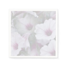 Pétunias Rose Et Blanc