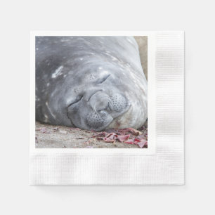 Serviette En Papier Phoque d'éléphant dormant