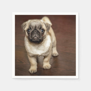 Serviette En Papier Photo de chien Brown carlin