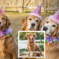 Photo de chien Cocktail d'anniversaire personnalis