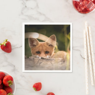Serviette En Papier Photo de Cute Little Orange Fox