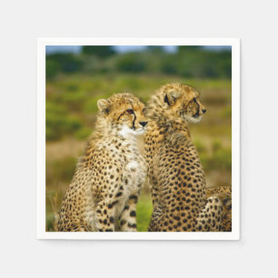 Serviette En Papier Photo de Wildlife Cheetah
