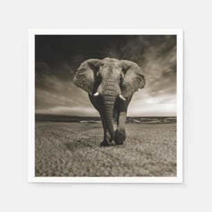 Serviette En Papier Photo d'éléphant Bull de la faune