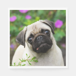 Serviette En Papier Photo fauve mignonne d'animal familier de visage