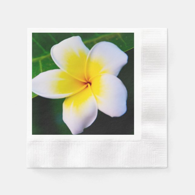 Serviette En Papier Photographie de fleurs de plumeria (Devant)