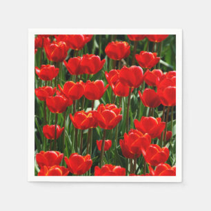 Serviette En Papier Photographie de fleurs florales élégantes tulipes