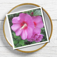 Photographie rose florale
