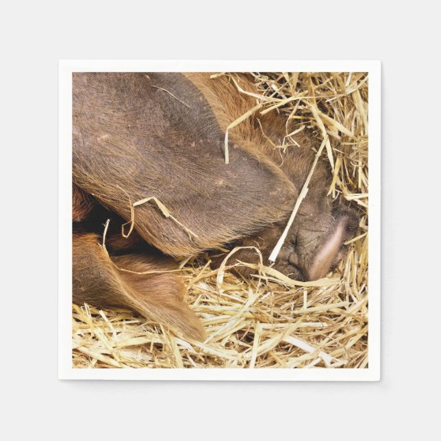 SERVIETTE EN PAPIER PIÈCES (Devant)