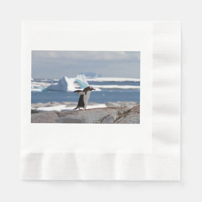 Serviette En Papier Pingouin devant une arche de glace (Devant)