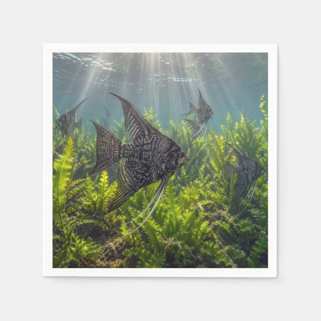 Serviette En Papier Poisson-ange Black Lace dans les algues (Devant)