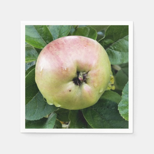 SERVIETTE EN PAPIER POMME (Devant)