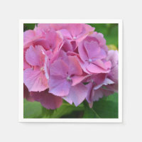 Pompée rose Hydrangea Hortensia Fleur