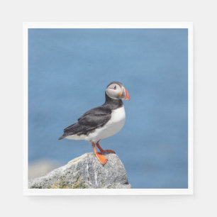 Serviette En Papier Puffin Atlantique en Machias, Maine