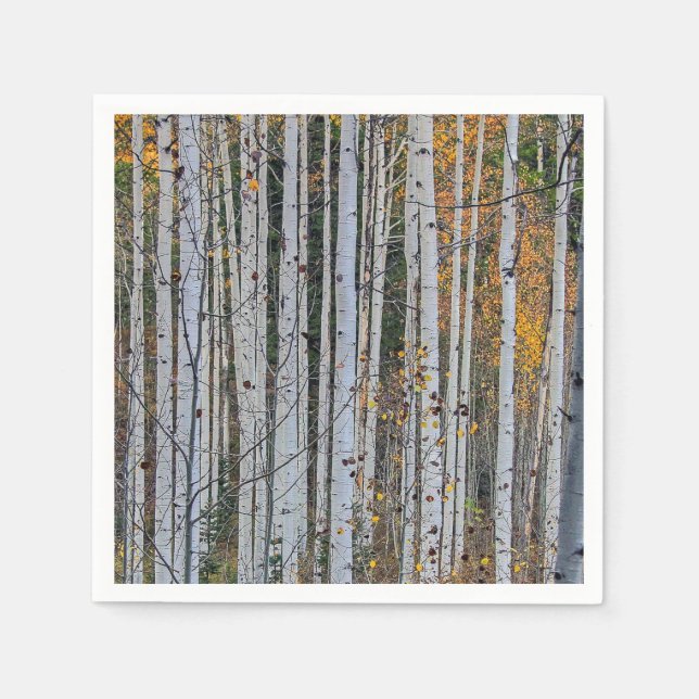 Serviette En Papier Quaking Aspen en automne (Devant)