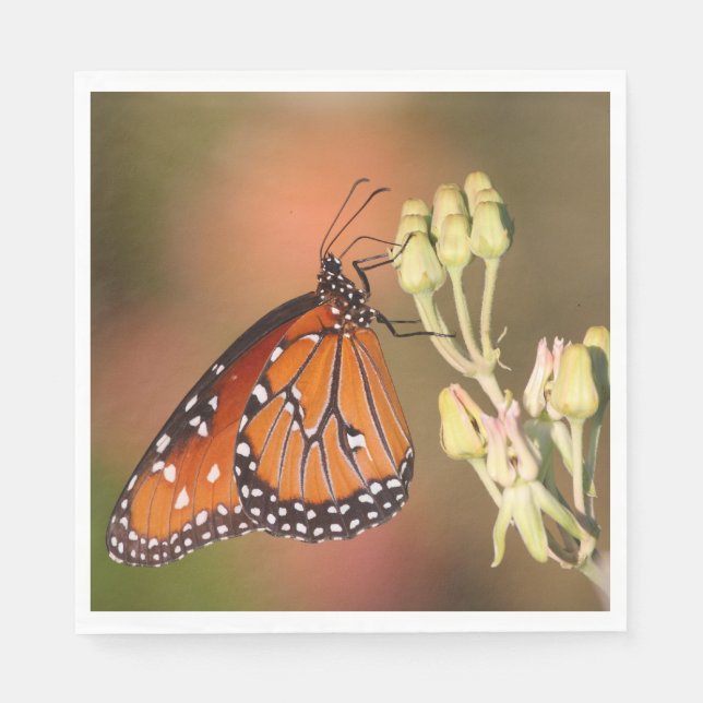 Serviette En Papier Queen butterfly on a branch (Devant)