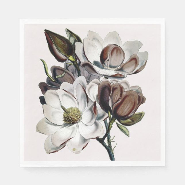 Serviette En Papier Rêve de chocolat Magnolia (Devant)