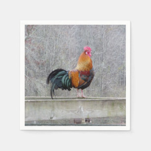Serviette En Papier Rooster Coloré Sur Papier