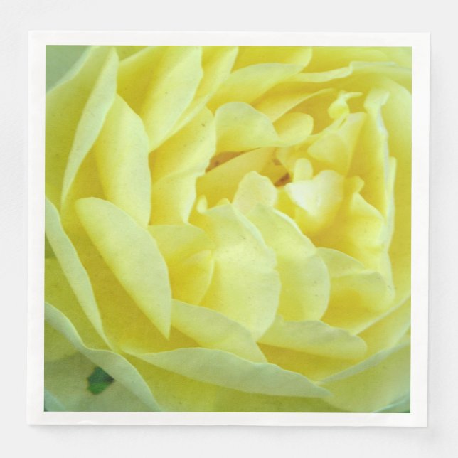 Serviette En Papier Rose jaune (Devant)