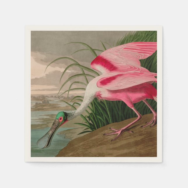 Serviette En Papier Rose Spoonbill Birds of America Audubon Print (Devant)