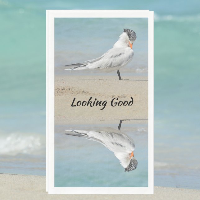 Serviette En Papier Royal Tern (Créateur téléchargé)