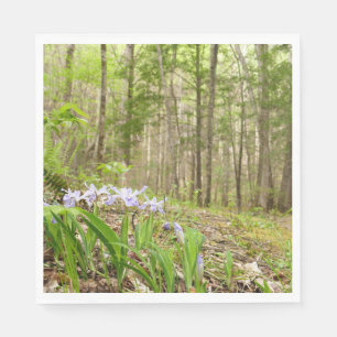 Serviette En Papier Sentier des Smoky Mountains au printemps