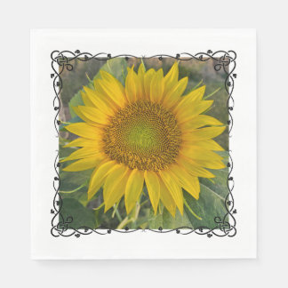 Serviette En Papier Serviettes
