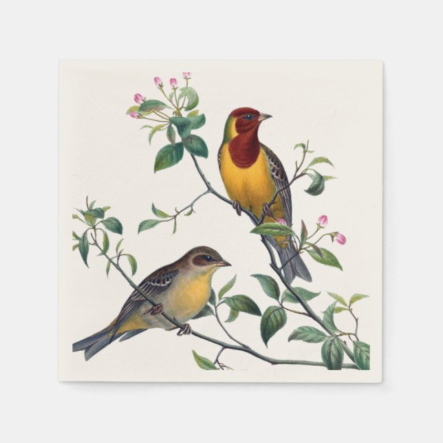 Serviette En Papier Serviettes aux oiseaux colorés (Devant)