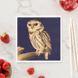 Serviette En Papier serviettes de fête oiseaux sauvages nature Chouett