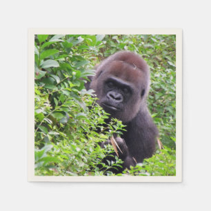 Serviette En Papier serviettes de toilette Peek-A-Boo Gorilla