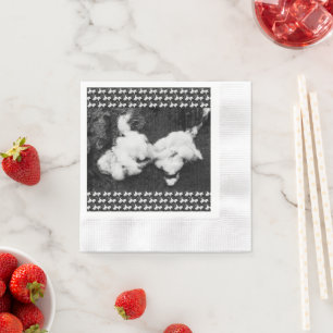 Serviette En Papier serviettes moelleuses