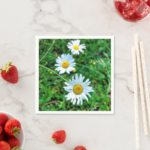Serviette En Papier Serviettes Ox Eye Daisies