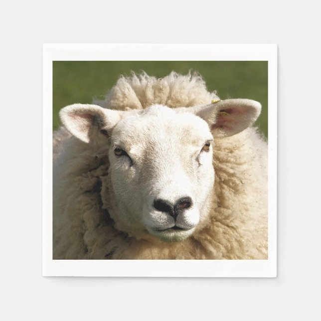 SERVIETTE EN PAPIER SHEEP (Devant)