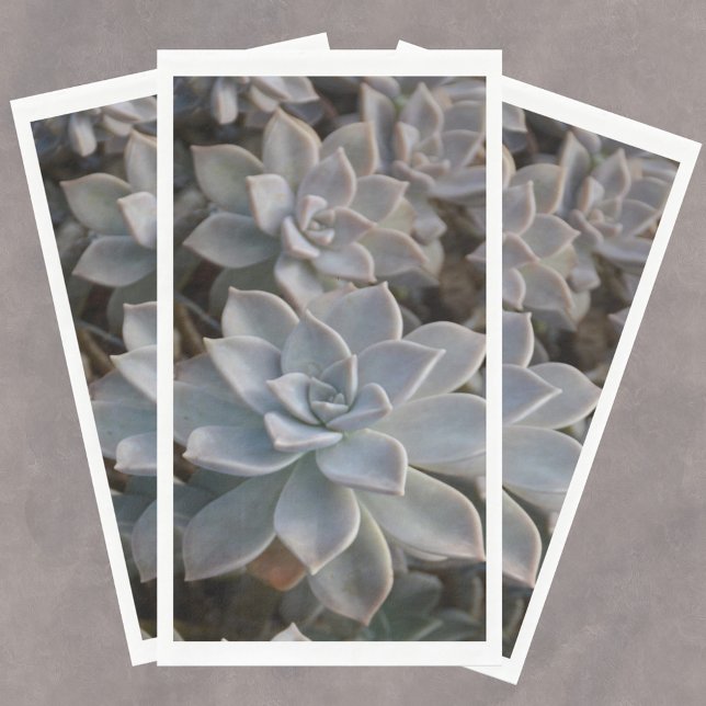 Serviette En Papier Silvery Blue Succulents Papier Serviettes d'hôtes (Créateur téléchargé)