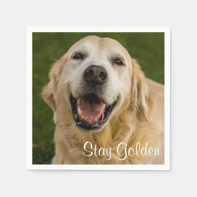 Serviette En Papier "Stay Golden" Golden Retriever Cocktail Napkins (Devant)