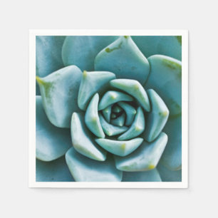 Serviette En Papier Succulent