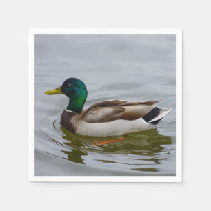 Serviette En Papier Swim Mallard Swim