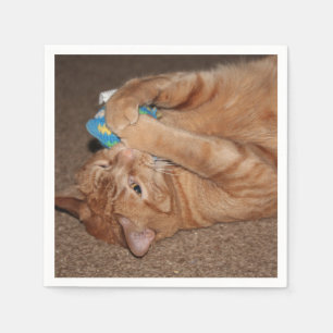 Serviette En Papier Tater