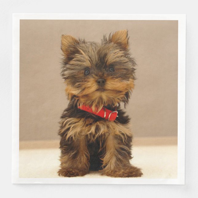 Serviette En Papier Terrier Puppy du Yorkshire (Devant)