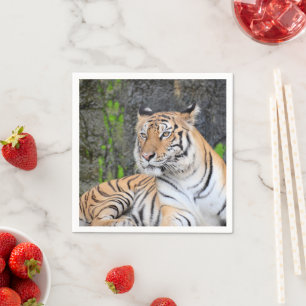 Serviette En Papier Tigre
