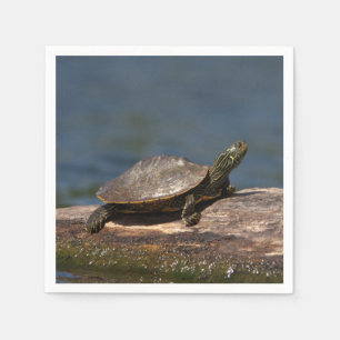 Serviette En Papier Tortue peinte sur un bûcher